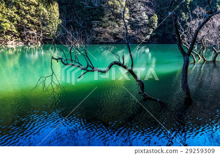 Immovable pond Immovable pond 29259309