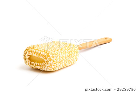 Loofah Long Handled Back Brush on white background 29259786
