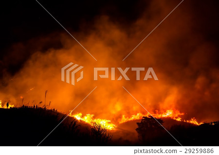 燃燒的阿蘇Borrowama 29259886
