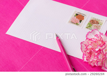 康乃馨消息 29260284