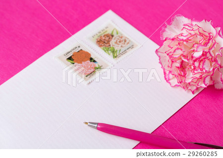 康乃馨消息 29260285