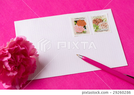 康乃馨消息 29260286