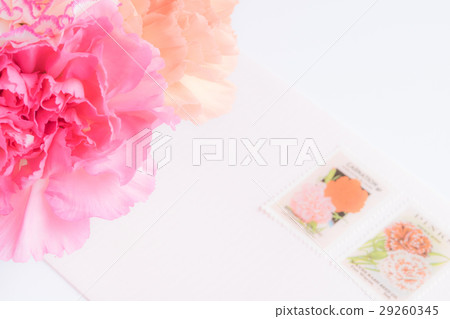 Carnation message 29260345