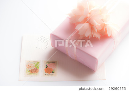 康乃馨消息 29260353