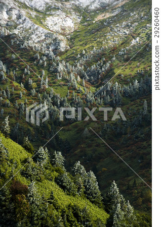 第一場雪 29260460