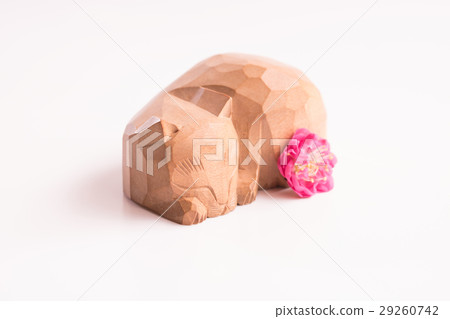 Sleeping cat 29260742