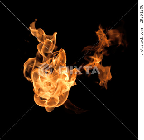 Fire flames on a black background 29261206