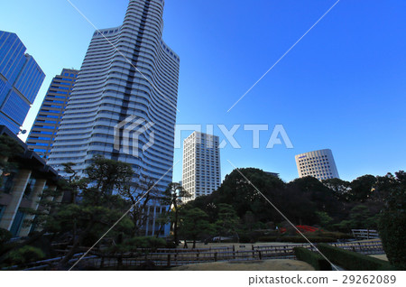 城市日本庭園的黎明 城市日本庭園的黎明 29262089