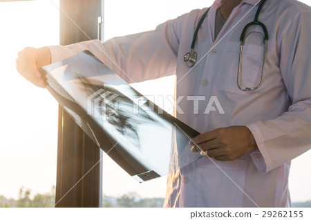 Doctor examining x-ray film of patient 29262155