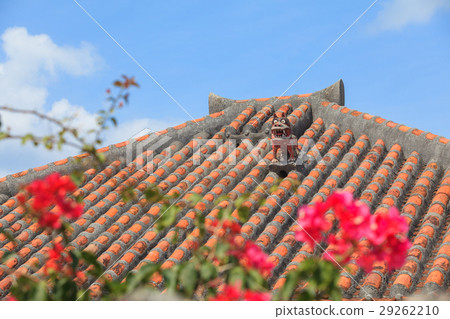 Shisa Taketomijima 29262210