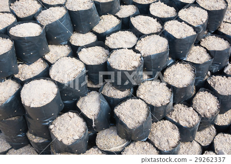 Soil in bags propagated Soil in bags propagated 29262337