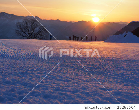 新幹線遊 新幹線遊 29262504