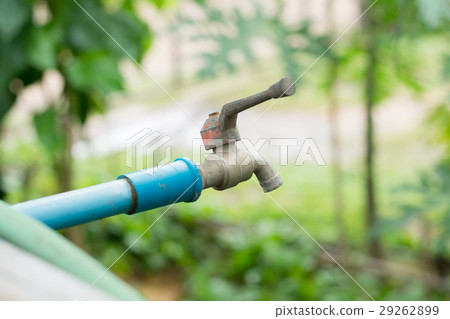 thai Faucet 29262899