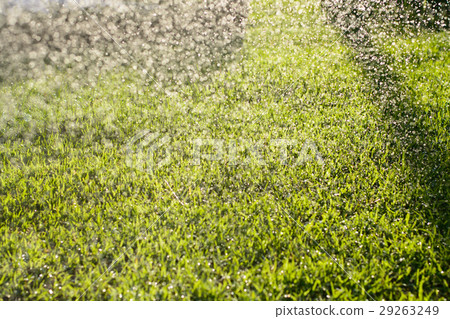 Water pour splashes and bokeh from watering  29263249