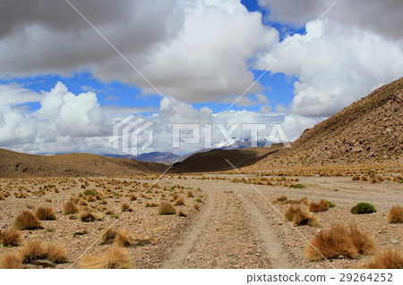 Atacama 29264252