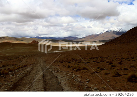 Atacama 29264256