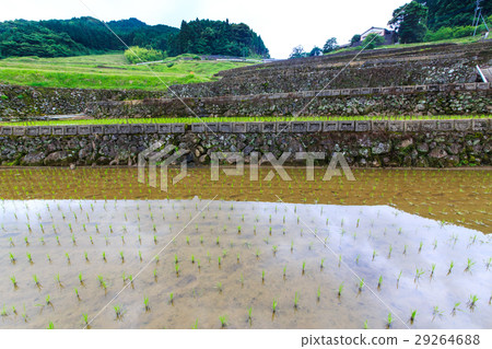 Oniki水稻梯田被淹沒了風景 Oniki水稻梯田被淹沒了風景 29264688