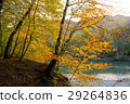 Trees with yellow foliage over mountains river 29264836