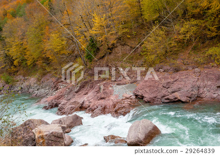 Mountain river and red rocks fall season Mountain river and red rocks fall season 29264839