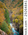 Gorge of mountain river in fall season 29264841