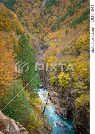 Gorge of mountain river in fall season Gorge of mountain river in fall season 29264841
