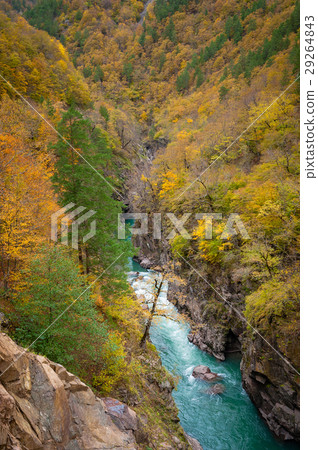 Canyon of mountain river in fall season Canyon of mountain river in fall season 29264843