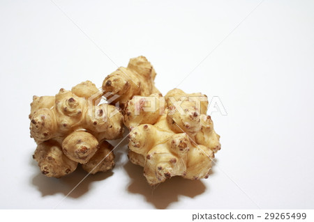 Jerusalem artichoke Jerusalem artichoke 29265499