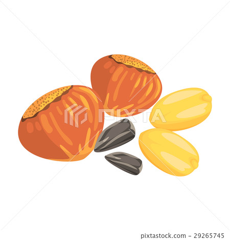 Hazelnuts, Peanuts And Sunflower Seeds, Food Item Hazelnuts, Peanuts And Sunflower Seeds, Food Item 29265745