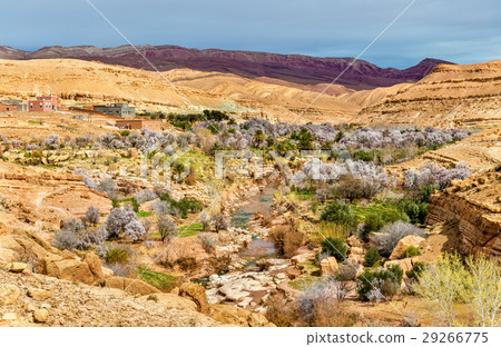 Landscape of the Asif Ounila valley in the High 29266775