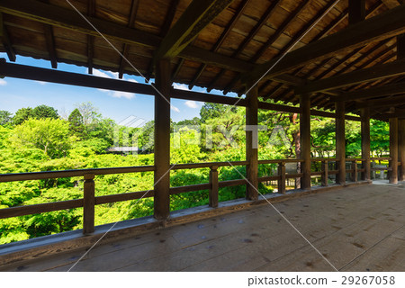 Fresh green to see from Kyoto Tofukuji Temple bridge in spring 29267058