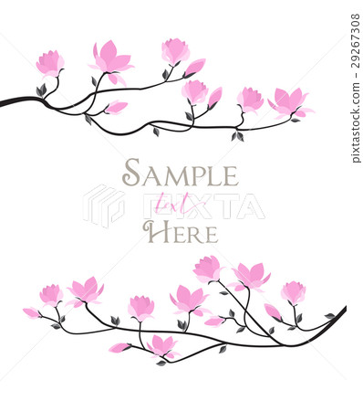 Vector magnolia flowers Vector magnolia flowers 29267308