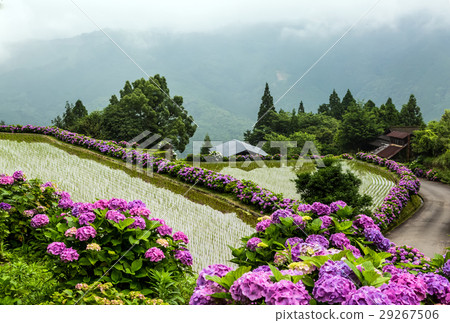 Shiina Ajino Road Shiina Ajino Road 29267506