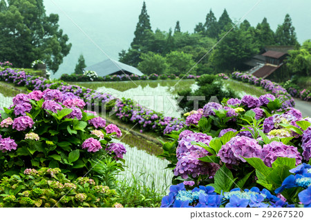Shiina Ajino Road 29267520