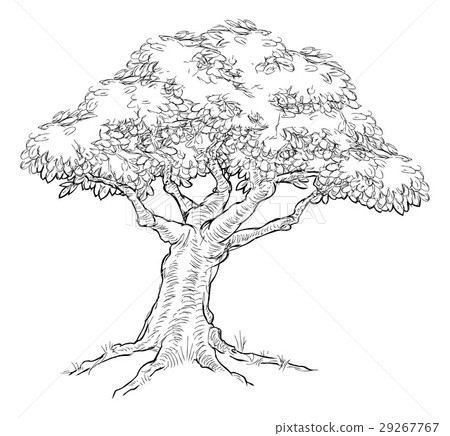 Woodcut sketch Style Tree Woodcut sketch Style Tree 29267767