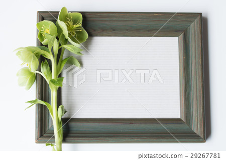 相框和聖誕玫瑰 29267781