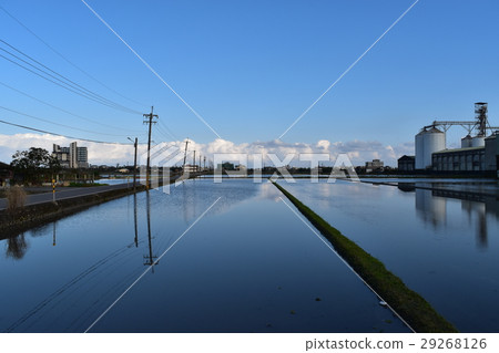 Pastoral sky Pastoral sky 29268126