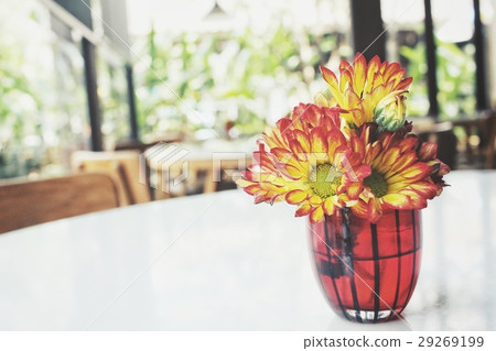Yellow flower on vase Yellow flower on vase 29269199