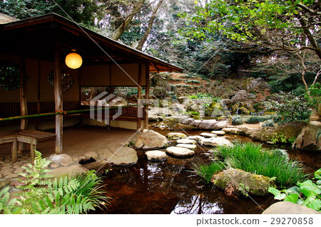 Tea shop national special lord of Rokuen Garden Takimi (Honkomagome, Bunkyo ku, Tokyo) 29270858