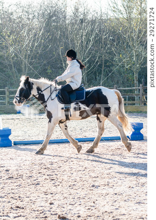 A girl practicing horseback riding on a cold morning white with breath A girl practicing horseback riding on a cold morning white with breath 29271724