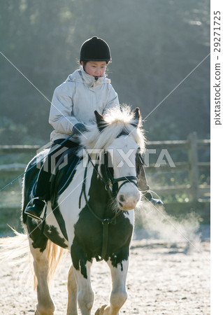 A girl practicing horseback riding on a cold morning white with breath 29271725