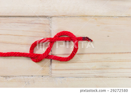 Figure-eight knot  29272580