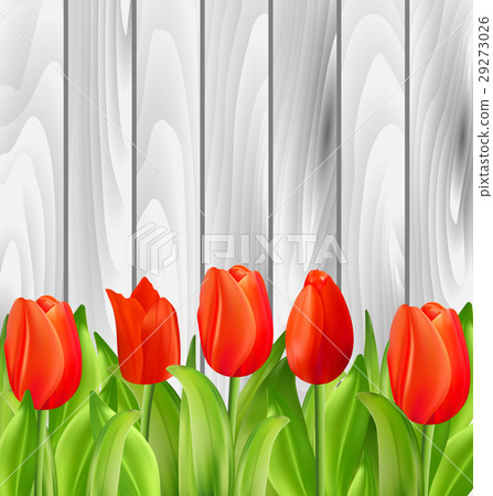 Beautiful Tulips Flowers on Wooden Background 29273026