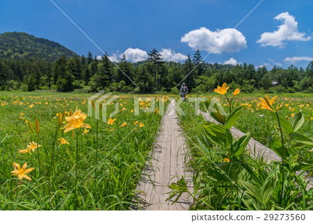 Okase Oi River Marshland Nikko Kishge 29273560