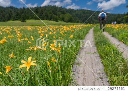 Okase Oi River Marshland Nikko Kishge Okase Oi River Marshland Nikko Kishge 29273561