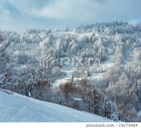 Winter Ukrainian Carpathian Mountains landscape. 29274004