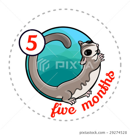 Monthly baby sticker Monthly baby sticker 29274528