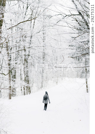 girl in winter forest 29275311