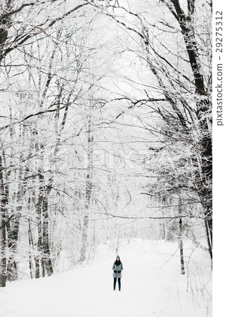 girl in winter forest girl in winter forest 29275312