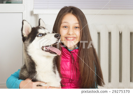 Girl and Siberian husky dog 29275370
