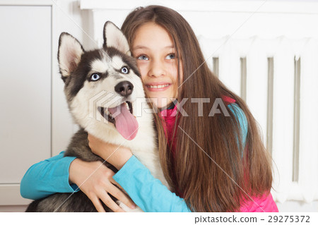 Girl and Siberian husky dog 29275372